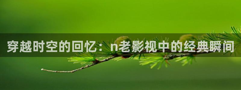 51视频免费观看