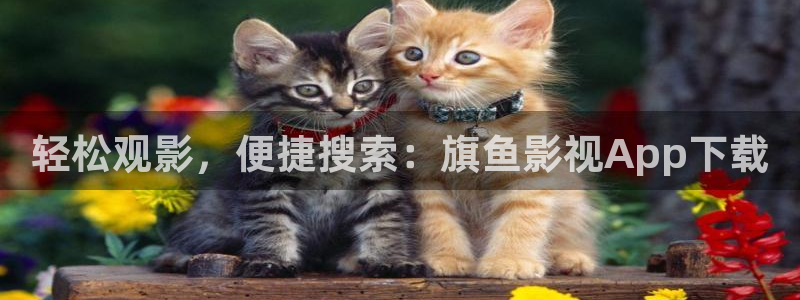 51视频在线观看